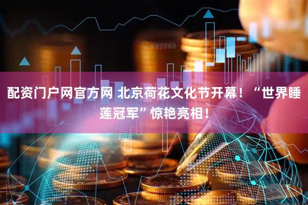 配资门户网官方网 北京荷花文化节开幕！“世界睡莲冠军”惊艳亮相！