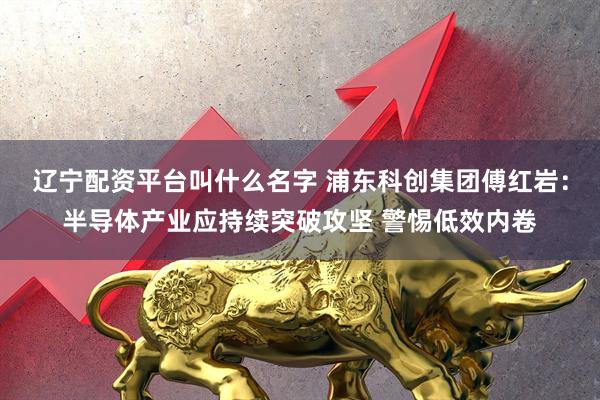 辽宁配资平台叫什么名字 浦东科创集团傅红岩：半导体产业应持续突破攻坚 警惕低效内卷