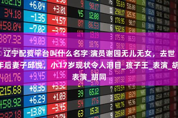 辽宁配资平台叫什么名字 演员谢园无儿无女，去世4年后妻子邱悦，小17岁现状令人泪目_孩子王_表演_胡同