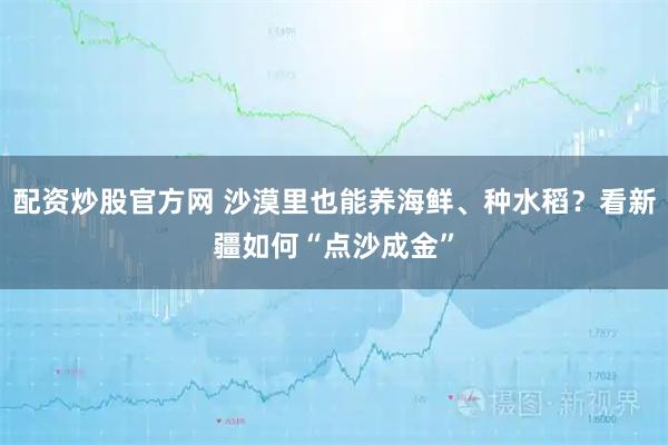 配资炒股官方网 沙漠里也能养海鲜、种水稻？看新疆如何“点沙成金”